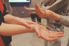 33
