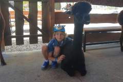 28