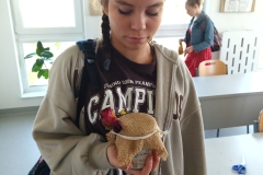 IMG_20230522_084833_5