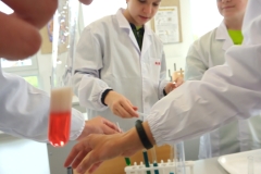 IMG_20230515_093145_2