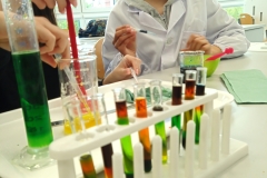 IMG_20230516_151635_2