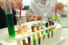 IMG_20230516_151636_4