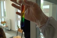 IMG_20230516_152925_7