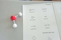 IMG_20230530_111939_5