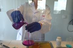 IMG_20230612_092601_4