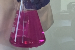 IMG_20230612_092642_6