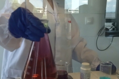 IMG_20230612_092740_2