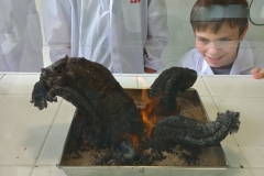 IMG_20230615_122921_0