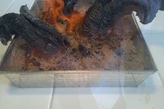 IMG_20230619_092403_8