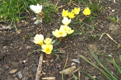 IMG_20230314_120952_1