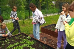 IMG_20230516_115856_3