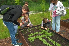 IMG_20230516_115858_2