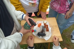 IMG_20230613_122238_8