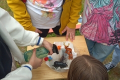 IMG_20230613_122247_5