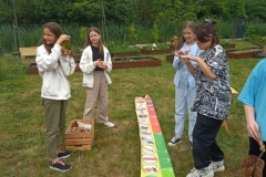 IMG_20230613_122645_7