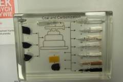 IMG_20230314_164037_8