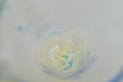 IMG_20230427_091913_0