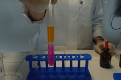 IMG_20230427_133253_4