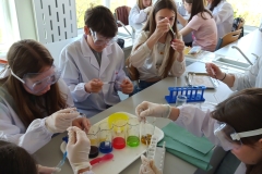 IMG_20230511_133317_3