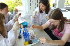 IMG_20230511_133340_8