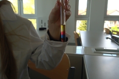 IMG_20230511_133947_8