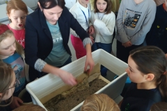 IMG_20230323_111546_4