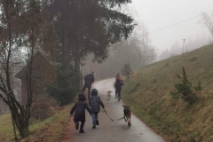 IMG-20211203-WA0007